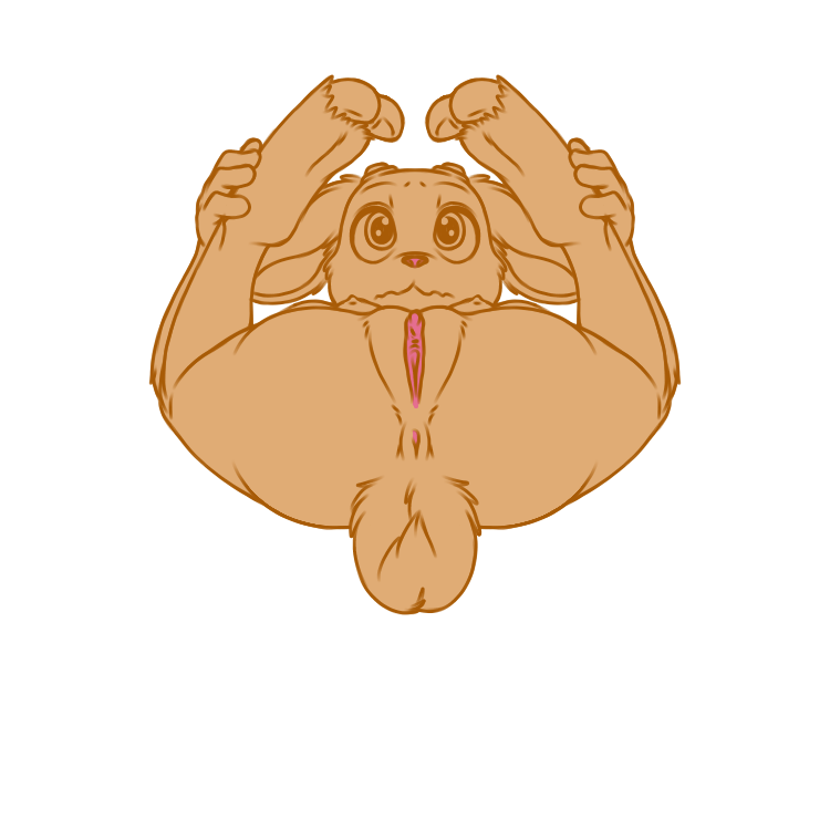 5371882_YacteruC1_export1719337830293.png
