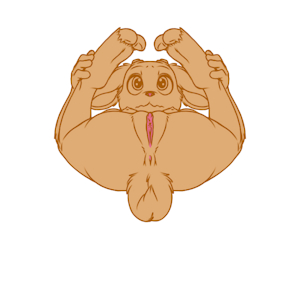 5371882_YacteruC1_export1719337830293.png