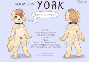 5380804_Liryal_xadopt_5.jpg