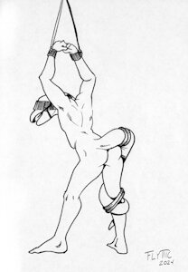 Sketchbook Snake in a Bind