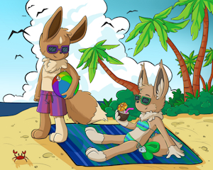 Beach Vees