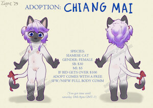Adoption: Chiang Mai the siamese