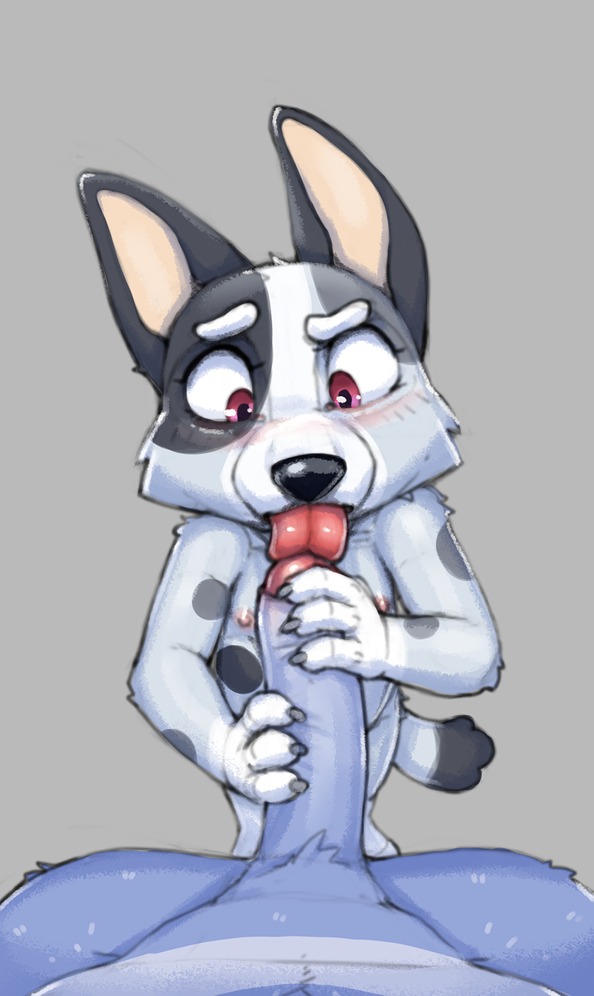 5389467_Xennos_bluey_job_muffin.jpg