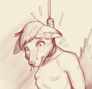 Fox hanged