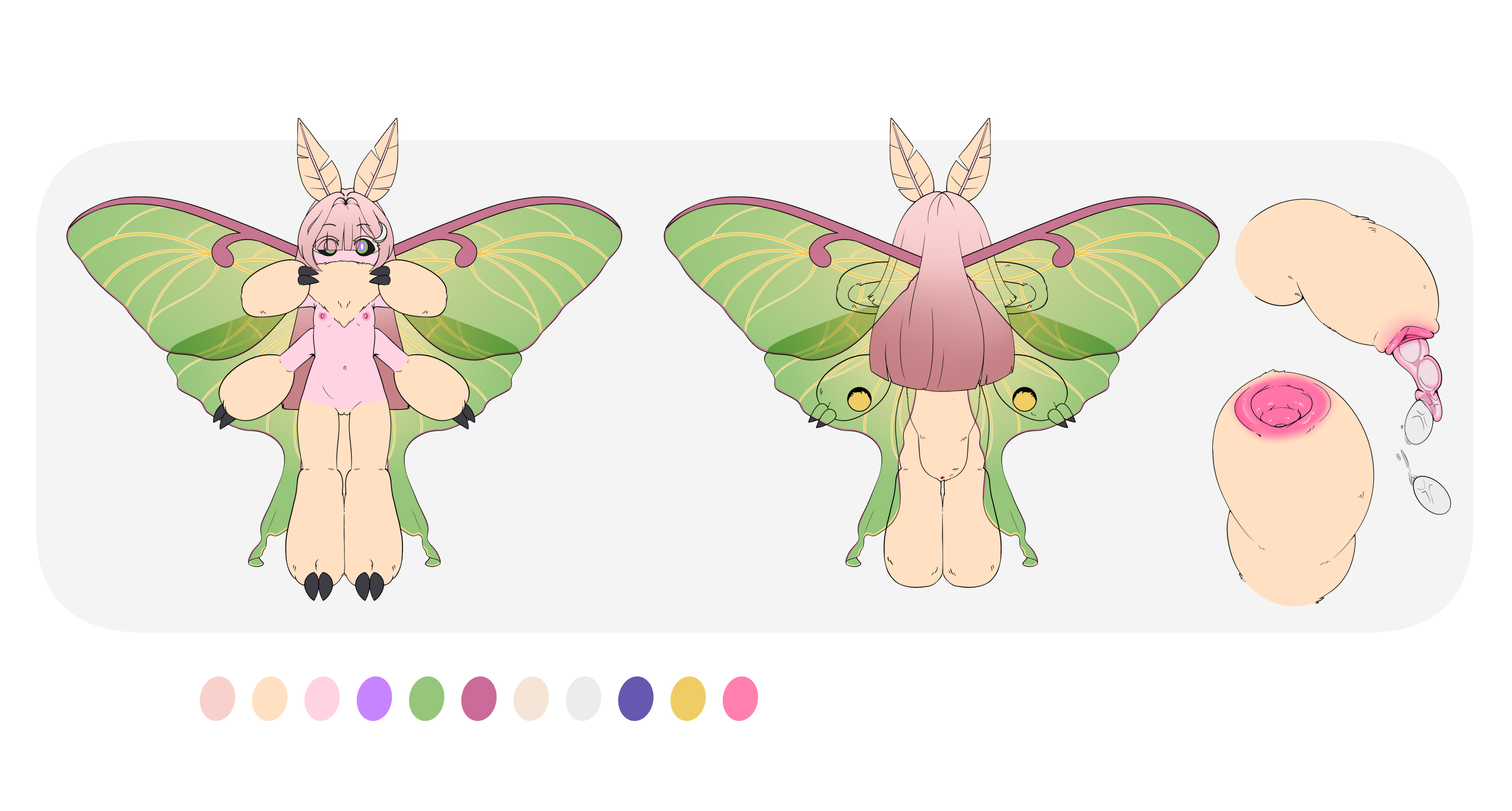 5394653_pucco_flat.png