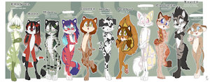 *C*_Insssspired coats