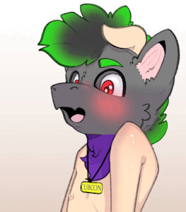 Cub Con fun