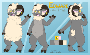 Edward the Sheep Ref sheet