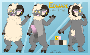 Edward the Sheep Ref sheet (NSFW)