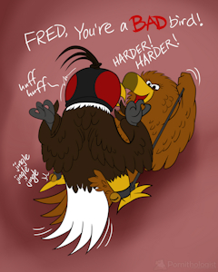 Falconry Fred