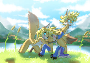 Commission