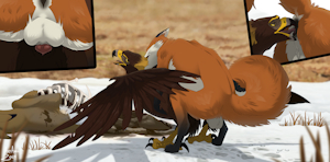 5403094_Ferobird69_outfoxed_censored_clean.png