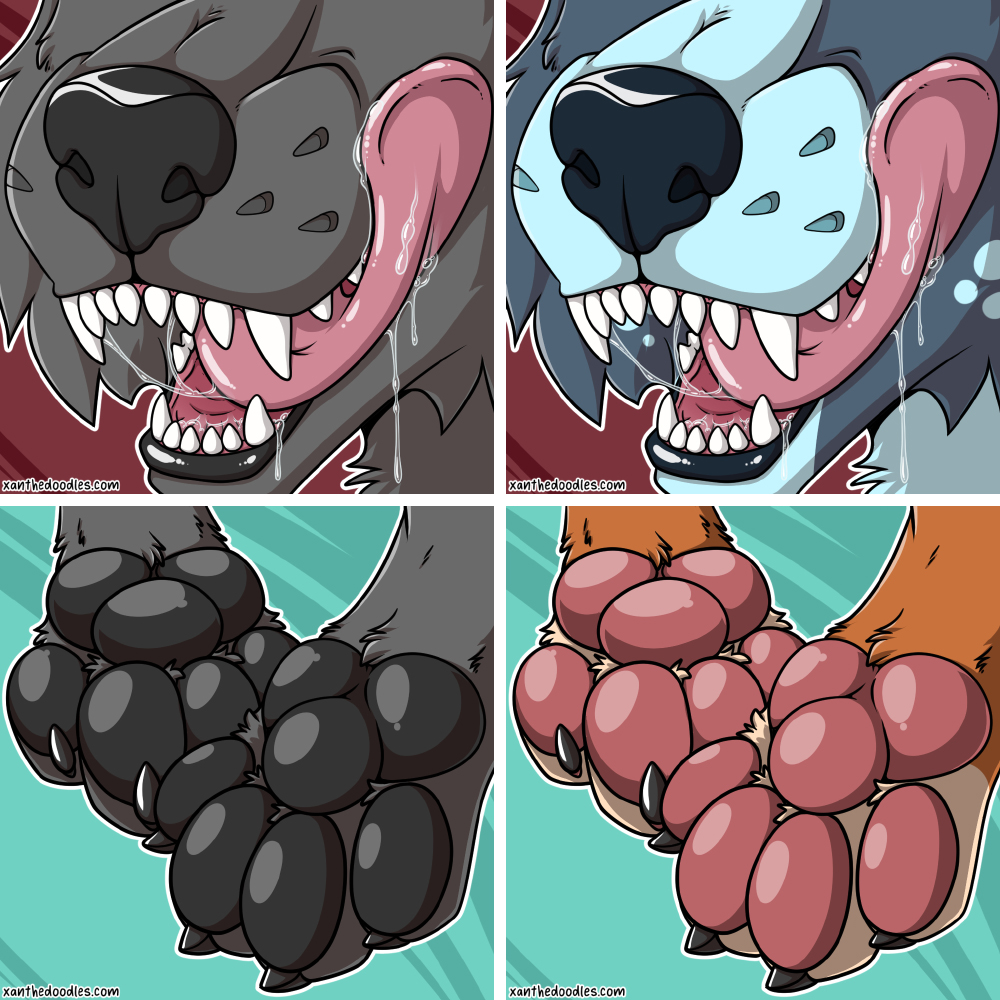 5414337_Xanthe_pawsandmaws.jpg