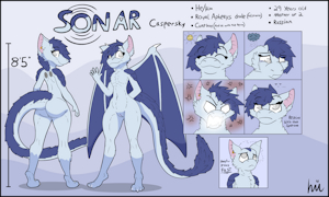 Sonar Caspersky 2025 Reference Sheet