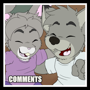 COMMENTS / COMENTARIOS