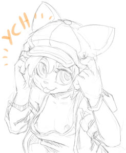 24h-Auction: Thanks for the hat