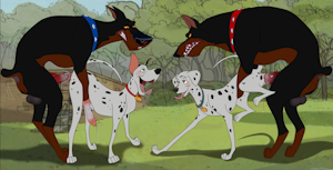 Park Poundings