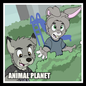 ANIMAL PLANET
