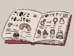 5431958_BunnyQueen_witchquest_1c.gif
