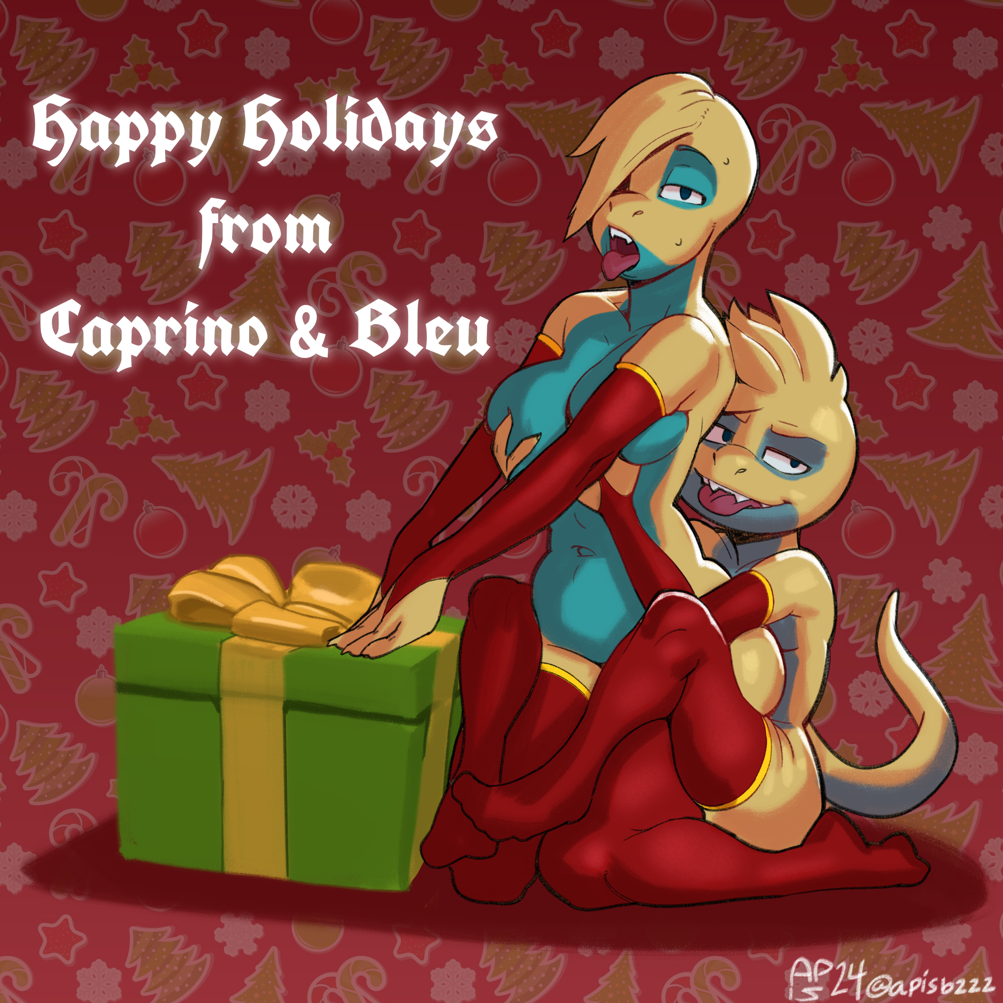 5432730_apis_capbleu_christmas2_sm.png