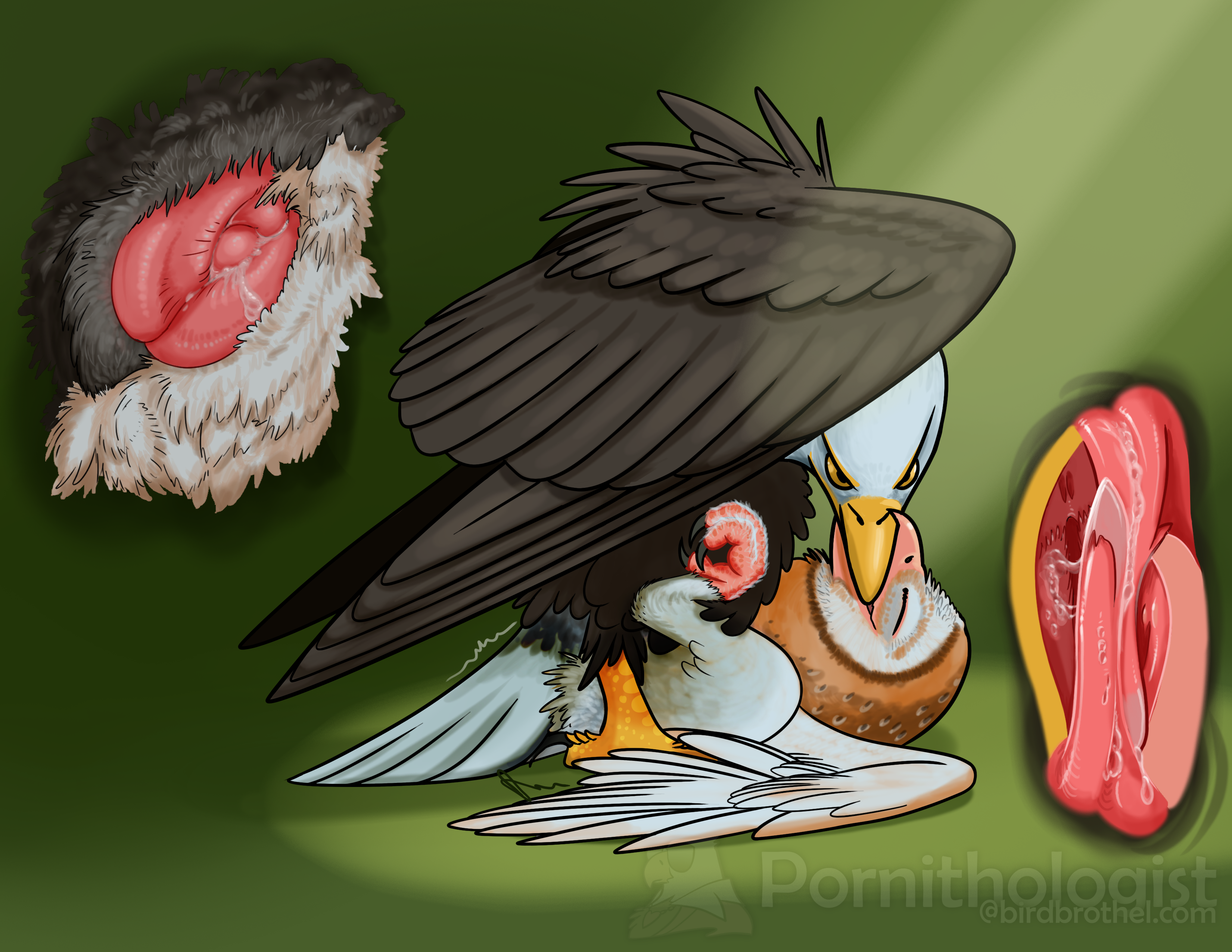 5435687_MoistEagleVent_double_kisses_tasty_beaks_juicy_holes_-001.png