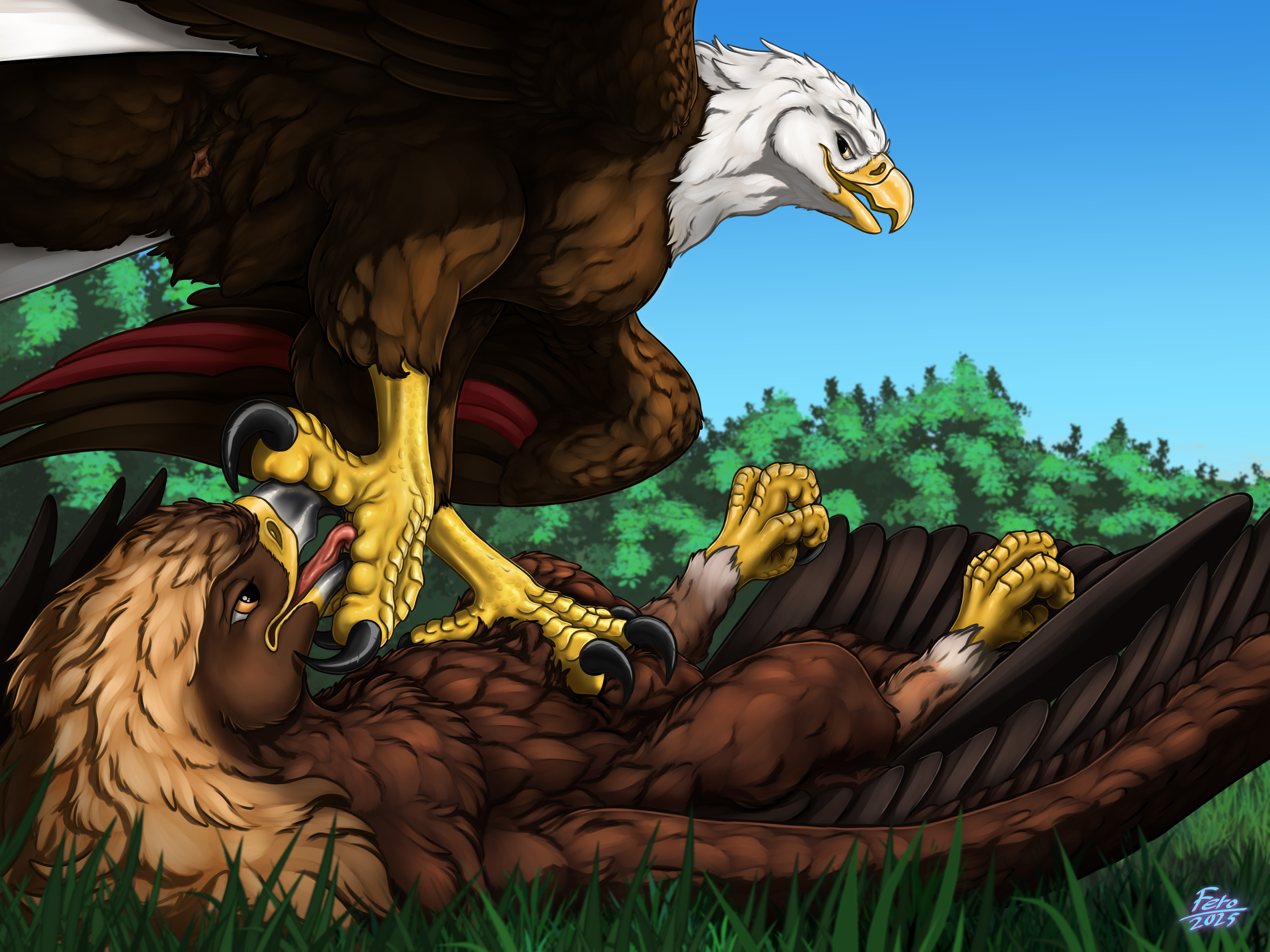 5438956_Ferobird69_defeeted_clean_.png