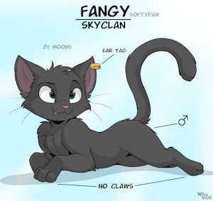 Fangy (OC) - Warriors Cats