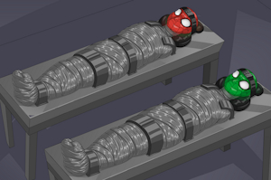 Spider Mummies