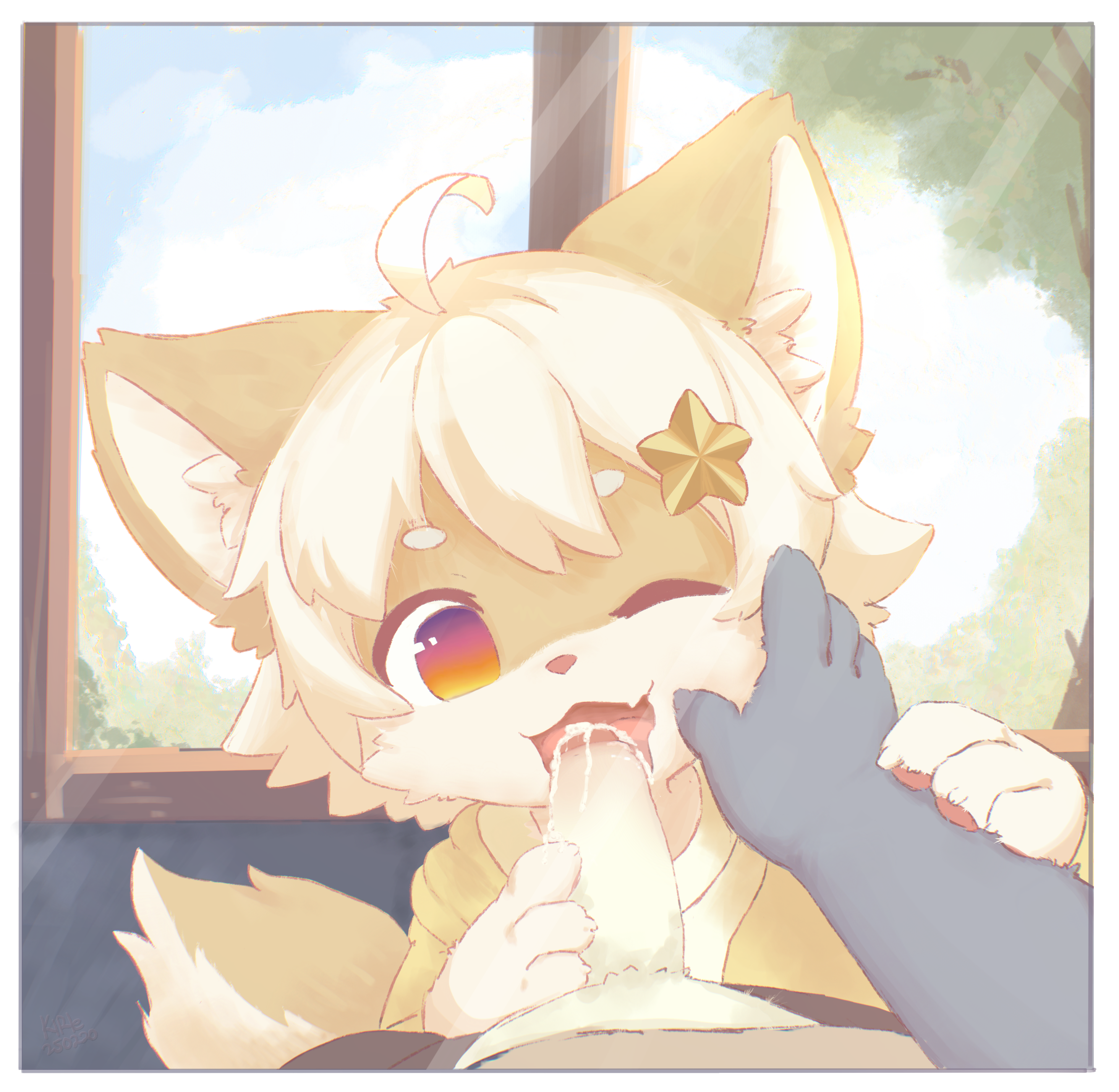 5445353_kirle_img_9668.png