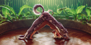 I double downward dog dare you