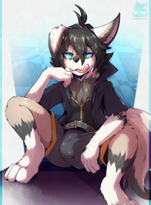 IA253 - WolfwieTheWolfdog