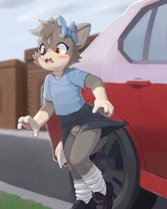 A Mishap