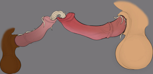 Sharing Worms Color