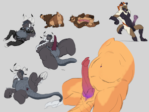 Assorted Tastes Color