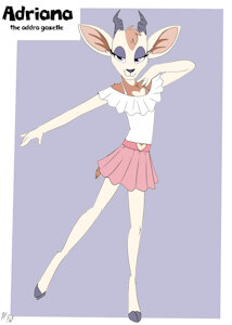 *C*_Character designs
