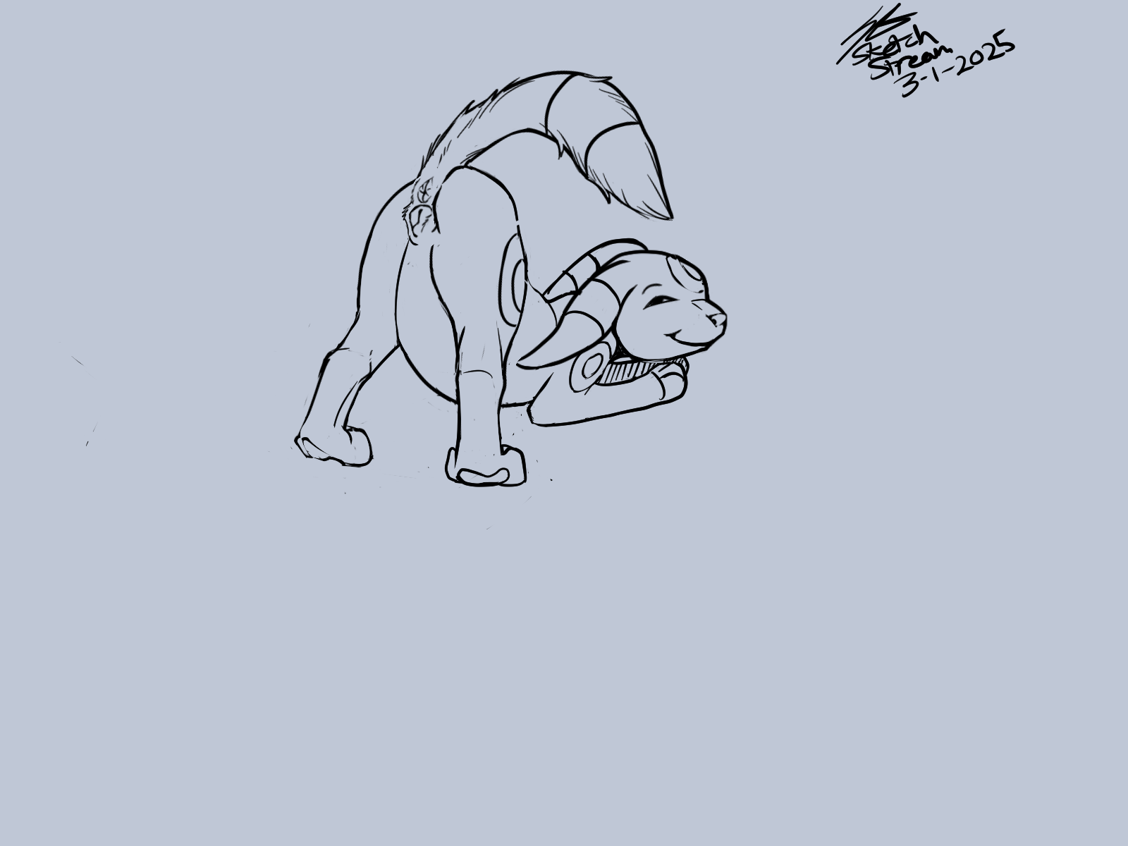 5459263_soulgryph_3-1_umbreon.png