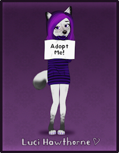 Adoptable Auction: Luci Hawthorne!