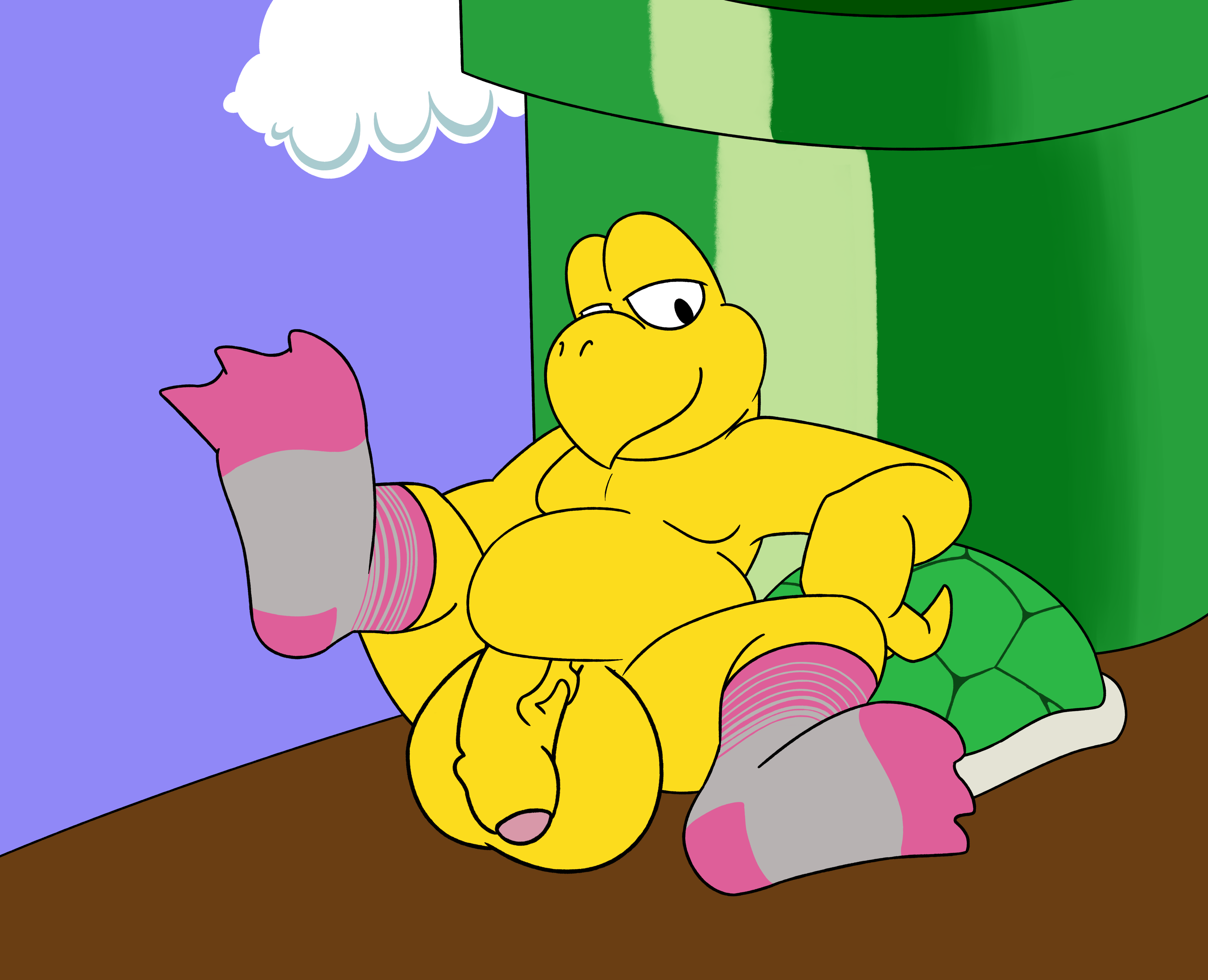 5461328_AaronAmethyst_koopasockshyper.png