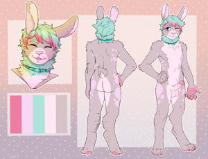 old [C] bunny
