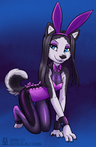 Sasha Bunny