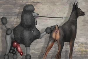 Tail up, doberpup