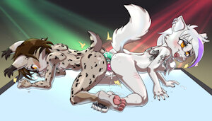 special performance - by Kagemusha