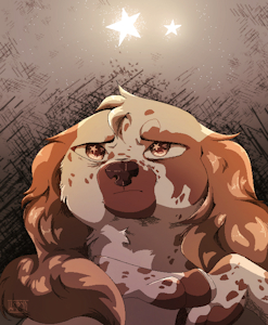 Under the starlight