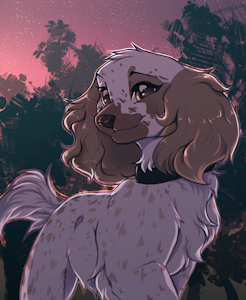 Waiting for the dawn