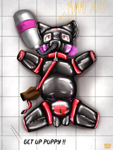 New drone ready to serve !