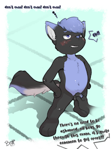 Exam!!! (Skypuppeh)