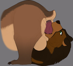 Prolapse Sucking Color