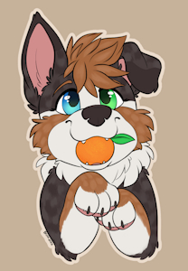 Fetch!