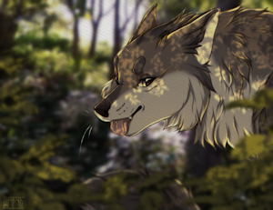 Wolf in the forest