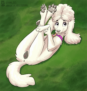Honey Cookie